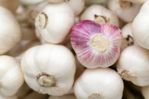 Garlic Peel Benefits: ਲਸਣ ਦੇ ਛਿਲਕਿਆਂ ਨੂੰ ਸੁੱਟਣ ਦੀ ਬਜਾਏ ਇਸ ਤਰ੍ਹਾਂ ਕਰੋ ਵਰਤੋਂ, ਮਿਲਣਗੇ ਹੈਰਾਨੀਜਨਕ ਫਾਇਦੇ
