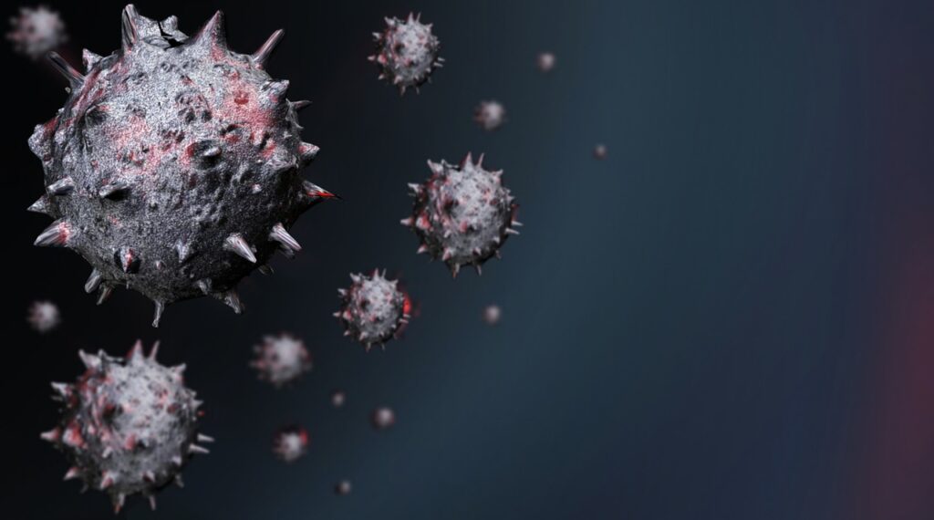 Influenza Virus