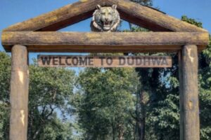 Dudhwa National Park