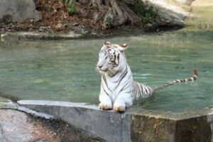 delhi-national-zoological-park