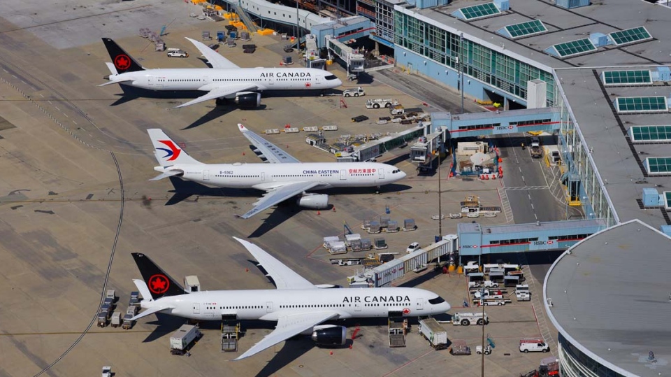 Vancouver Airport ਤੇ ਖ਼ਰਗੋਸ਼ ਬਣੇ ਖ਼ਤਰਾ