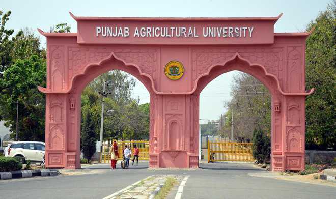ਪੀ.ਏ.ਯੂ. ਨੇ ਕਿਸਾਨਾਂ ਰਾਹੀਂ ਖੇਤੀ ਪਸਾਰ ਸਿੱਖਿਆ ਬਾਰੇ ਵੈਬੀਨਾਰ ਕਰਵਾਇਆ