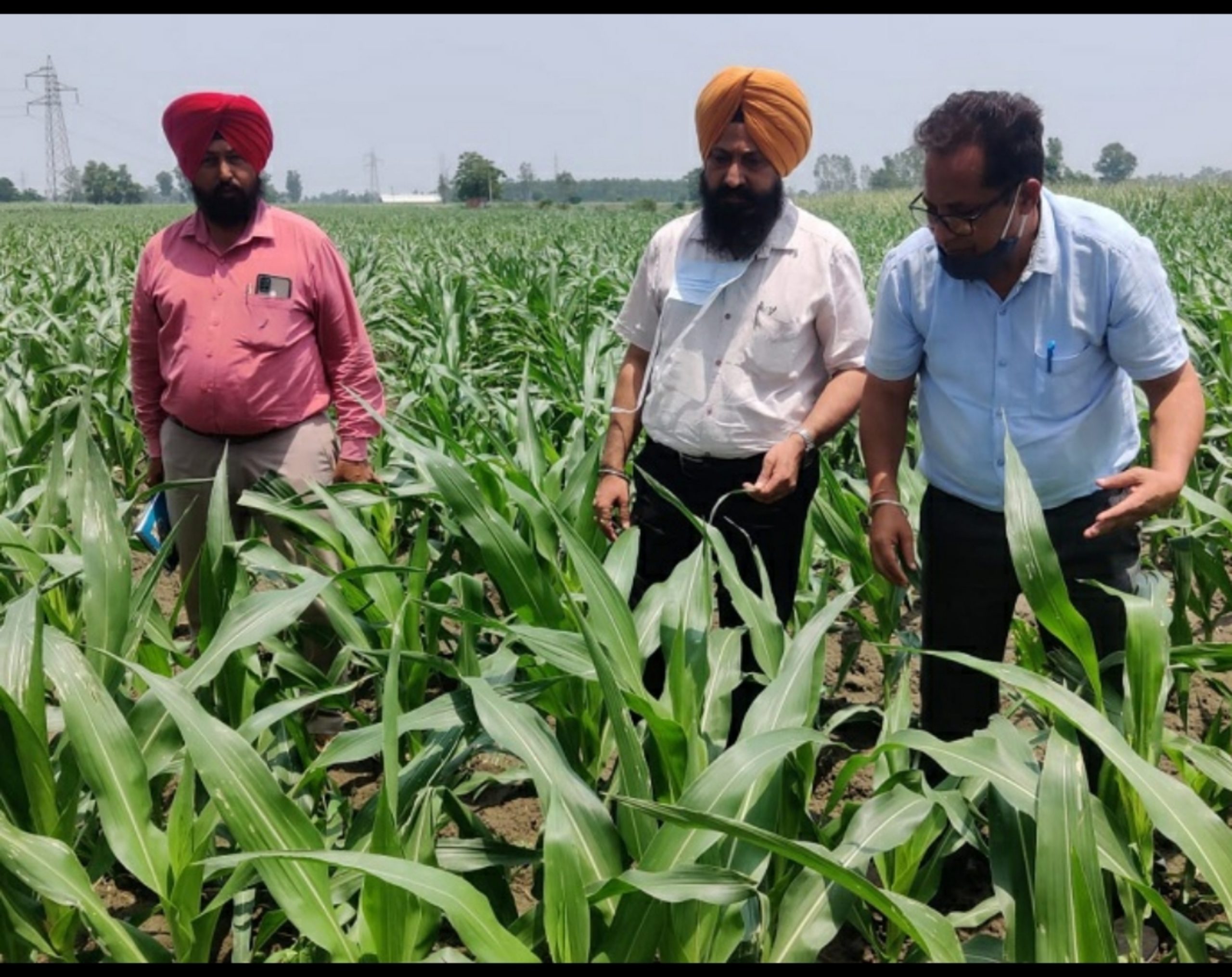 ਕਿਸਾਨਾਂ ਨੂੰ ਜਾਗਰੂਕ ਕਰਨ ਲਈ ਖੇਤੀਬਾੜੀ ਅਫਸਰਾਂ ਨੂੰ ਖਾਸ ਹਦਾਇਤਾਂ