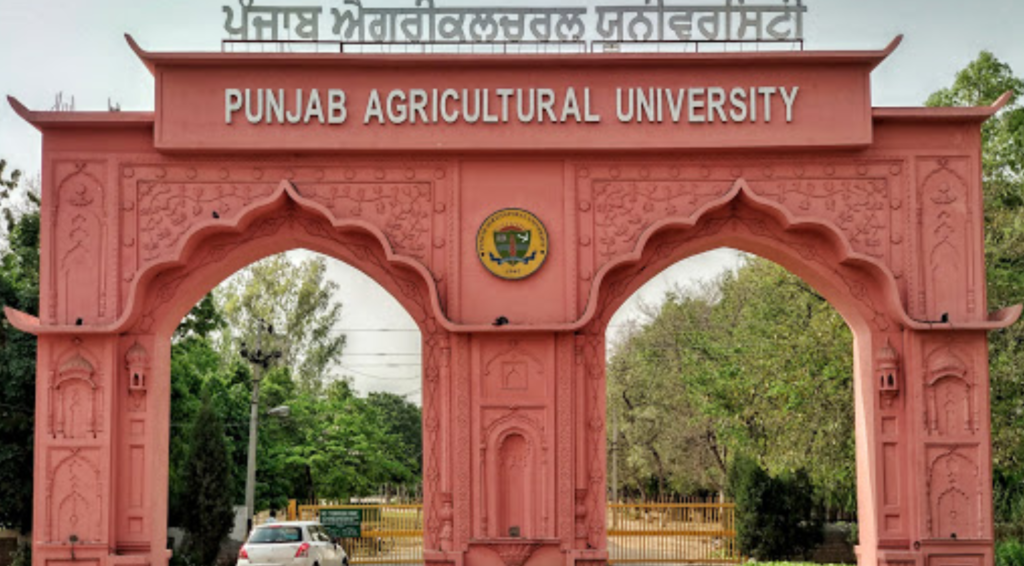 PAU ਵਿਚ ਖੇਤੀ ਵਿਕਾਸ ਪ੍ਰੋਗਰਾਮ ਬਾਰੇ ਵੈਬੀਨਾਰ