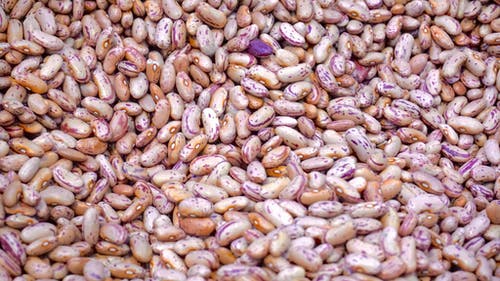 ਜੇ ਤੁਸੀਂ ਪਤਲੀ ਕਮਰ ਚਾਹੁੰਦੇ ਹੋ, ਖਾਓ ਬੀਨਜ਼, ਤੁਹਾਨੂੰ ਪ੍ਰੋਟੀਨ ਵੀ ਭਰਪੂਰ ਮਾਤਰਾ ਵਿੱਚ ਮਿਲੇਗਾ
