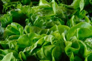 Vegetables