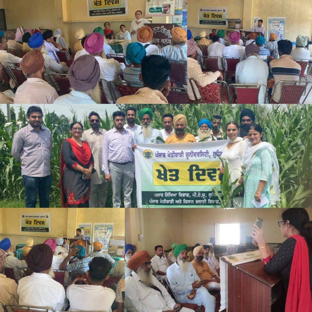 PAU ਨੇ ਪਿੰਡ ਬੀਹਲਾ ਵਿਚ ਮੱਕੀ ਦਾ ਖੇਤ ਦਿਵਸ ਮਨਾਇਆ