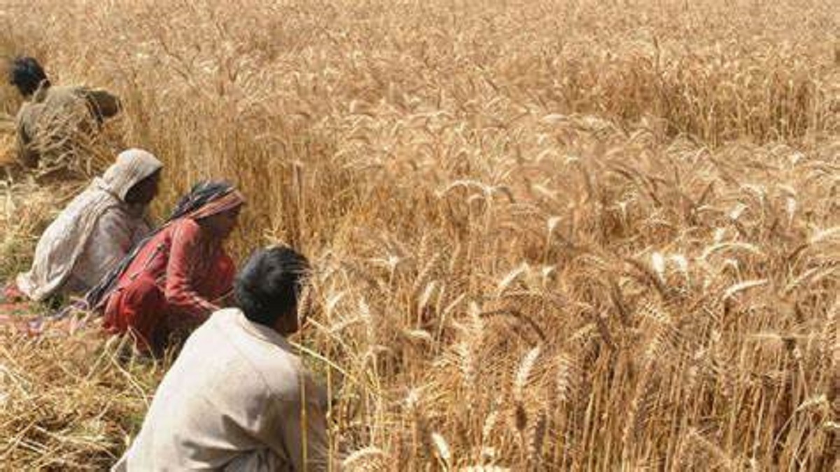 ਕੇਂਦਰ ਸਰਕਾਰ ਵੱਲੋਂ ਹਾੜ੍ਹੀ ਦੀਆਂ ਫਸਲਾਂ ‘ਤੇ ਐਮਐਸਪੀ ‘ਚ ਵਾਧਾ