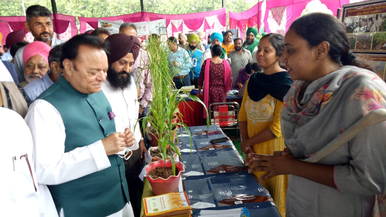 ਪੰਜਾਬ ਸਰਕਾਰ ਵੱਲੋਂ ਗੰਨੇ ਦੇ ਐਲਾਨੇ ਗਏ ਲਾਹੇਵੰਦ ਭਾਅ ਸਦਕਾ ਗੰਨਾ ਕਾਸ਼ਤਕਾਰਾਂ ਵਿਚ ਭਾਰੀ ਉਤਸ਼ਾਹ : ਸੰਤੋਖ ਸਿੰਘ ਚੌਧਰੀ