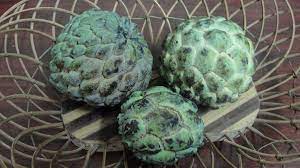 ਕਿਹੜੇ ਲੋਕਾਂ ਨੂੰ Custard Apple ਬਿਲਕੁਲ ਨਹੀਂ ਖਾਣਾ ਚਾਹੀਦਾ?