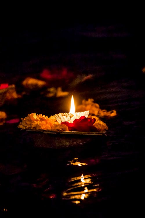 ਇਸ ਵਾਰ ਈਕੋ-ਫ੍ਰੈਂਡਲੀ ਦੀਵਾਲੀ ਮਨਾਓ, ਇਹਨਾਂ 4 ਨੁਕਤਿਆਂ ਦੀ ਪਾਲਣ ਕਰੋ