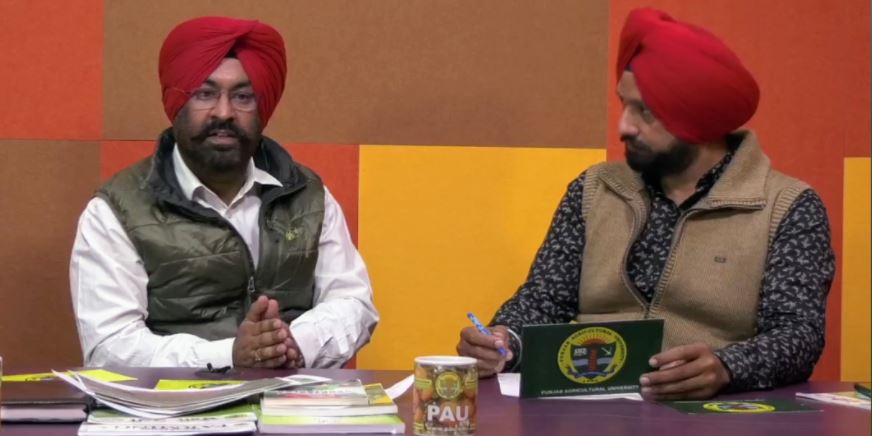 PAU ਦੇ ਲਾਈਵ ਪ੍ਰੋਗਰਾਮ ‘ਚ ਮਾਹਿਰਾਂ ਨੇ ਖੇਤੀ ਦੇ ਚਲੰਤ ਮਸਲਿਆਂ ਬਾਰੇ ਵਿਚਾਰਾਂ ਕੀਤੀਆਂ