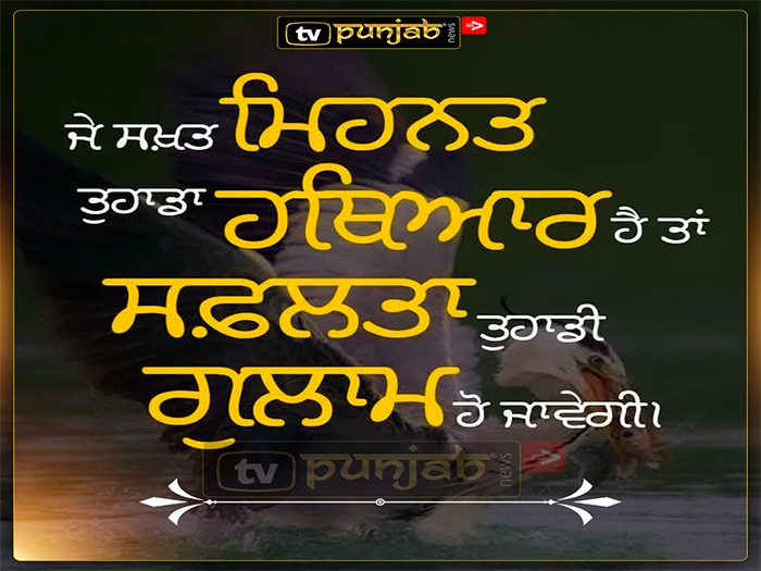 Thought Of The Day