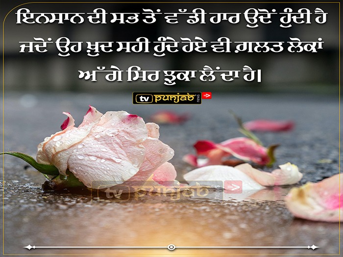 Thought Of The Day