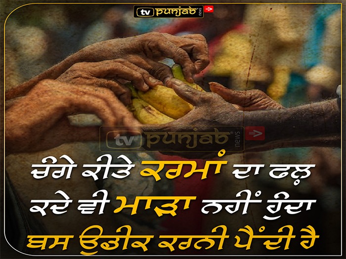 Thought Of The Day