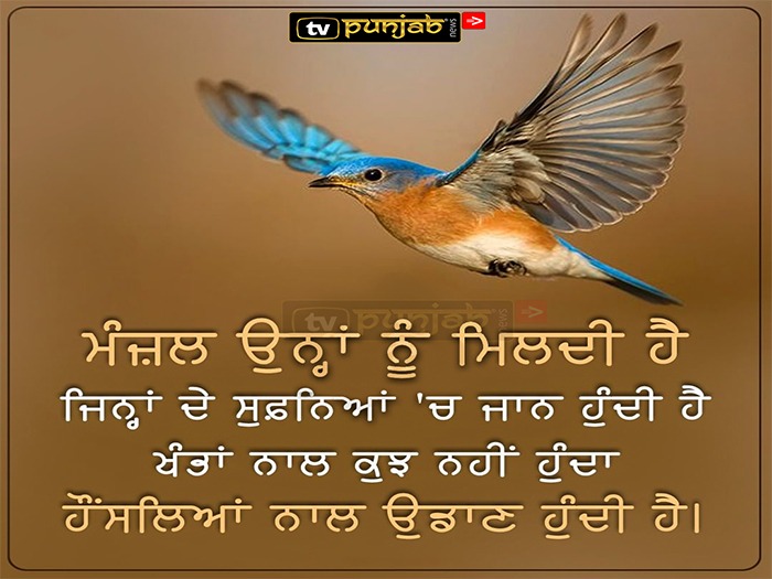 Thought Of The Day