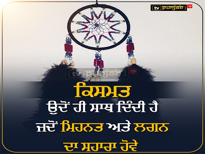 Thought Of The Day