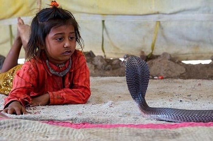 ਇਹ ਭਾਰਤ ਦੇ ਸਭ ਤੋਂ ਅਨੋਖੇ ਪਿੰਡ, ਕਿਤੇ ਸੱਪਾਂ ਦੀ ਪੂਜਾ ਕੀਤੀ ਜਾਂਦੀ ਹੈ, ਕਿਤੇ ਜ਼ਿਆਦਾਤਰ ਜੁੜਵਾਂ ਬੱਚੇ ਪੈਦਾ ਹੁੰਦੇ ਹਨ