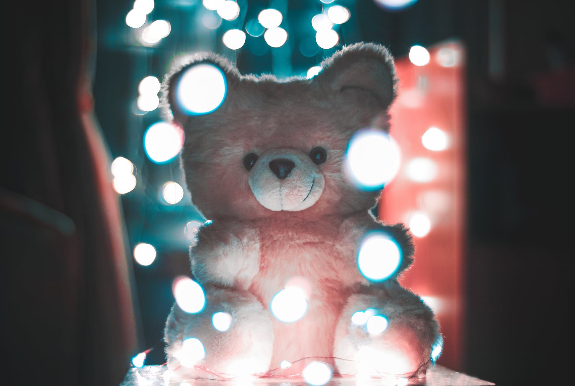 Teddy Day ‘ਤੇ ਆਪਣੇ ਸਾਥੀ ਨੂੰ ਇਹ 3 ਕਿਸਮ ਦੇ ਟੈਡੀ ਬੀਅਰ ਦਿਓ