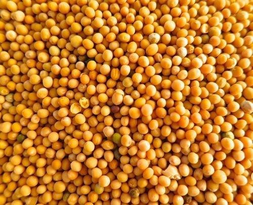 ਭਾਰ ਨੂੰ ਕੰਟਰੋਲ ਕਰਨਾ ਚਾਹੁੰਦੇ ਹੋ ਤਾਂ ਡਾਈਟ ‘ਚ ਸ਼ਾਮਲ ਕਰੋ ਪੀਲੀ ਸਰ੍ਹੋਂ