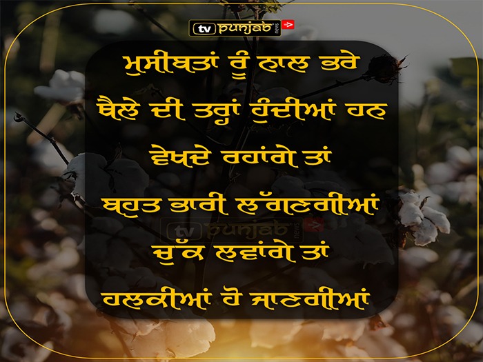 Thought Of The Day