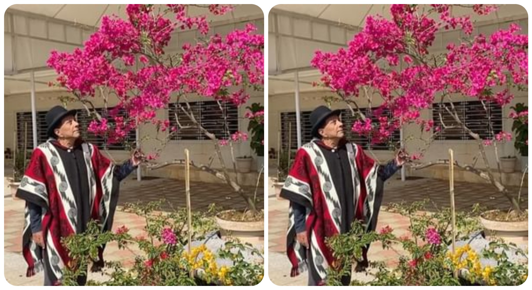 ਫਾਰਮ ਹਾਊਸ ‘ਚ ਲੱਗੇ ਰੰਗ-ਬਿਰੰਗੇ ਫੁੱਲਾਂ ਨੂੰ ਦੇਖ ਕੇ ਗਦਗਦ ਹੋਏ ਧਰਮਿੰਦਰ, ਕਿਹਾ- ‘ਮੈਂ ਬਹੁਤ ਕੁੱਝ ਕਰ ਰਿਹਾ ਹਾਂ…’ ਦੇਖੋ ਵੀਡੀਓ