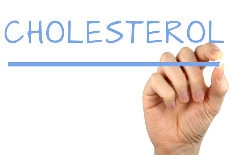 ਨਹੀਂ ਕੰਟਰੋਲ ਹੋ ਰਿਹਾ High Cholesterol? ਇਸ ਚੀਜ਼ ਨੂੰ ਪਾਣੀ ‘ਚ ਮਿਲਾ ਕੇ ਪੀਓ