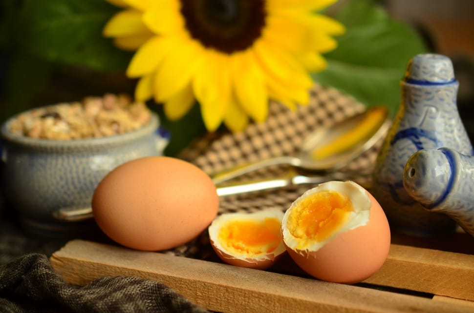 ਅੰਡੇ ਨਾਲ ਚਮਕਣ ਲਗੇਗੀ ਬੇਜਾਨ ਚਮੜੀ ਅਤੇ ਵਾਲ, ਬਸ ਇਸ ਤਰ੍ਹਾਂ ਕਰੋ ਵਰਤੋ