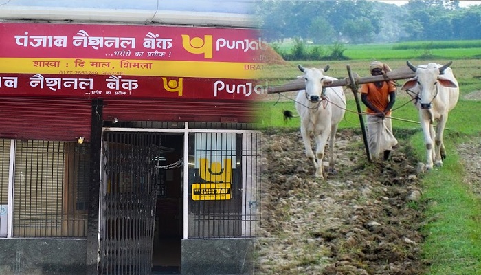 ਕਿਸਾਨਾਂ ਲਈ ਵੱਡਾ ਤੋਹਫਾ, PNB ਨੇ ਜਾਰੀ ਕੀਤੇ ਖ਼ਾਸ ਨੰਬਰ, ਸਿੱਧੇ ਖਾਤੇ ‘ਚ ਆਉਣਗੇ ਪੈਸੇ