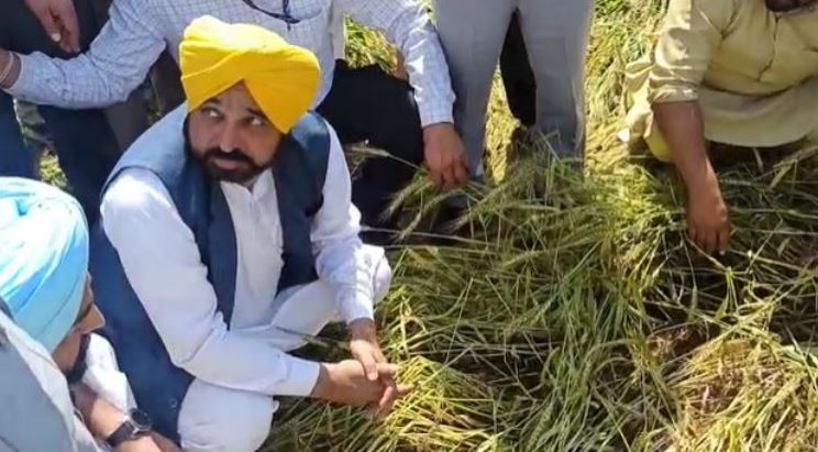 ਖਰਾਬ ਮੌਸਮ ਦੀ ਮਾਰ ਝੇਲਨ ਵਾਲੇ ਕਿਸਾਨਾਂ ਲਈ ਸੀ.ਐੱਮ ਮਾਨ ਨੇ ਕੀਤਾ ਵੱਡਾ ਐਲਾਨ