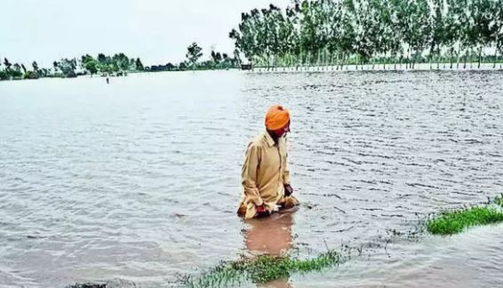 ਪੰਜਾਬ ਦੇ ਹਜ਼ਾਰ ਤੋਂ ਵੱਧ ਪਿੰਡਾ ਚ ਪਾਣੀ ਦੀ ਮਾਰ, ਦਿਨ ਰਾਤ ਚੱਲ ਰਿਹੈ ਬਚਾਅ ਕਾਰਜ