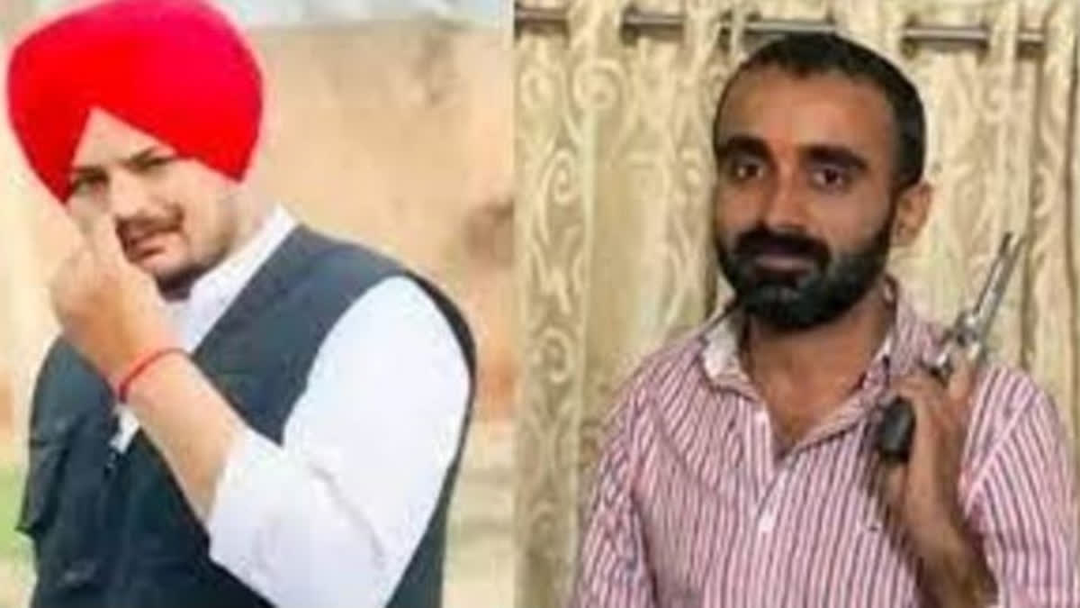 ਮੂਸੇਵਾਲਾ ਦੇ ਕਾਤਲ ਸਚਿਨ ਬਿਸ਼ਨੋਈ ਨੂੰ ਅਜ਼ਰਬਾਈਜਾਨ ਤੋਂ ਭਾਰਤ ਲਿਆਈ ਪੁਲਿਸ