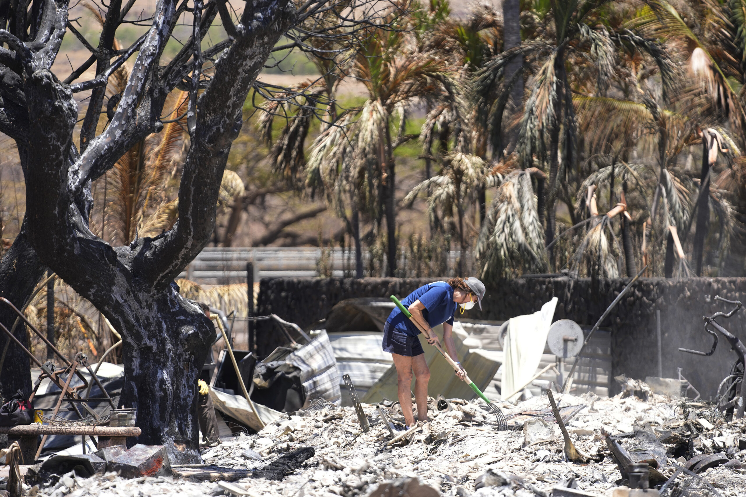 Maui wildfires : ਮਰਨ ਵਾਲਿਆਂ ਦੀ ਗਿਣਤੀ ਵੱਧ ਕੇ ਹੋਈ 111, 1000 ਤੋਂ ਵੱਧ ਲੋਕ ਅਜੇ ਵੀ ਲਾਪਤਾ