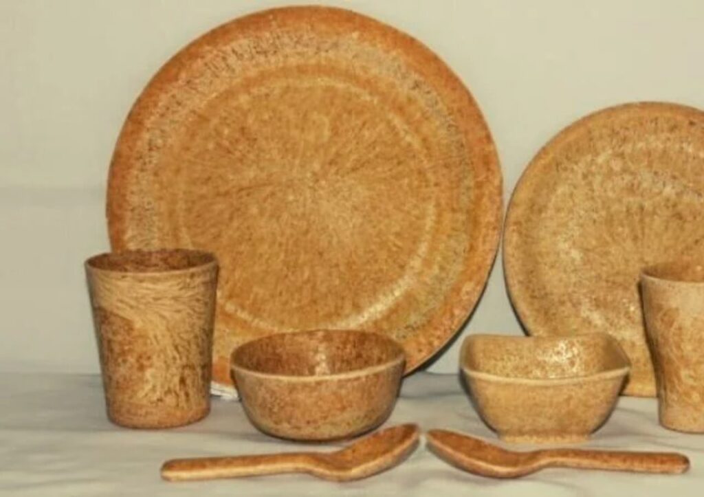 ਕਣਕ ਅਤੇ ਗੁੜ ਤੋਂ ਬਣੀ Crockery ਦੀ ਵਰਤੋਂ ਕਰਨ ਨਾਲ ਮਿਲਦੇ ਹਨ ਕਈ ਸਿਹਤ ਲਾਭ