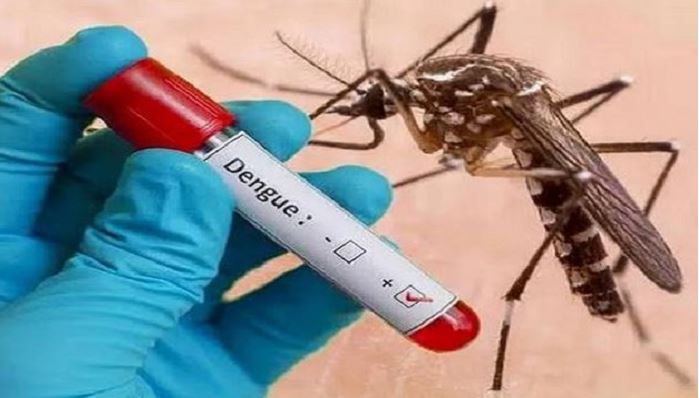 Dengue ਬੁਖਾਰ ਵਿੱਚ ਕੀ ਖਾਣ ਨਾਲ ਪਲੇਟਲੈਟਸ ਡਿੱਗਦਾ ਹੈ? ਜਾਣੋ