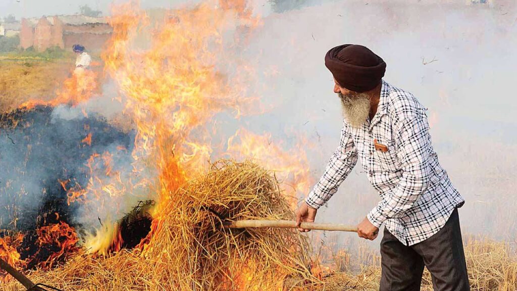 ਪਰਾਲੀ ‘ਤੇ NGT ਸਖਤ, ਪੰਜਾਬ ਅਤੇ ਹਰਿਆਣਾ ਨੂੰ 2024 ਲਈ ਸਮਾਂਬੱਧ ਕਾਰਜ ਯੋਜਨਾ ਬਣਾਉਣ ਦੇ ਨਿਰਦੇਸ਼