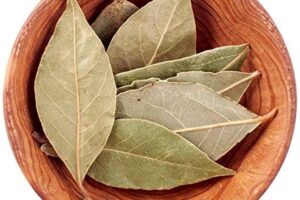 Uric acid : Bay Leaf