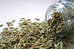 fennel seeds