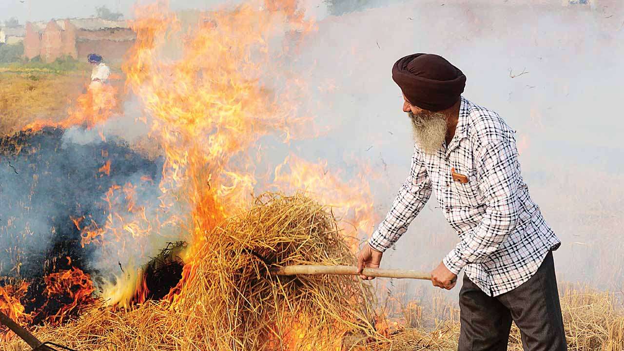 ਪਰਾਲੀ ਸਾੜਨ ਤੋਂ ਰੋਕਣ ਲਈ ਹੁਣ ਪੰਜਾਬ ਪੁਲਿਸ ਵੀ ਸਿੱਧੇ ਐਕਸ਼ਨ ਵਿਚ