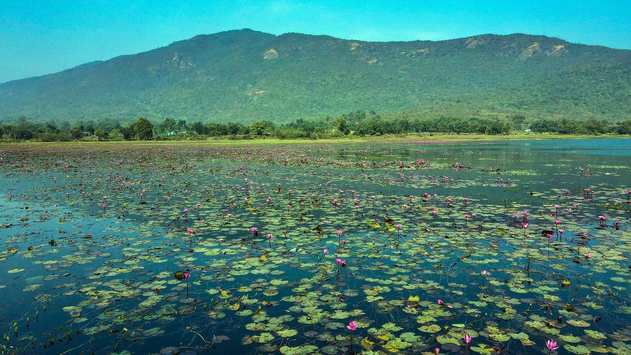 ਕਸ਼ਮੀਰ ਦੀ ਡਲ ਝੀਲ ਨੂੰ ਟੱਕਰ ਦਿੰਦੀ ਹੈ Dimna Lake