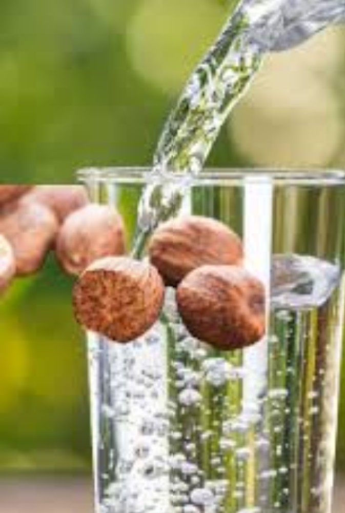Health Tips: ਜਾਇਫਲ ਦਾ ਪਾਣੀ ਤੁਹਾਡੀ ਸਿਹਤ ਲਈ ਵਰਦਾਨ ਹੈ